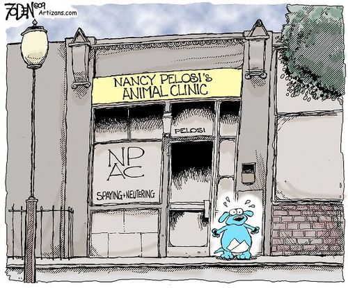 cartoon 8-2 glenn foden spay larger.jpg